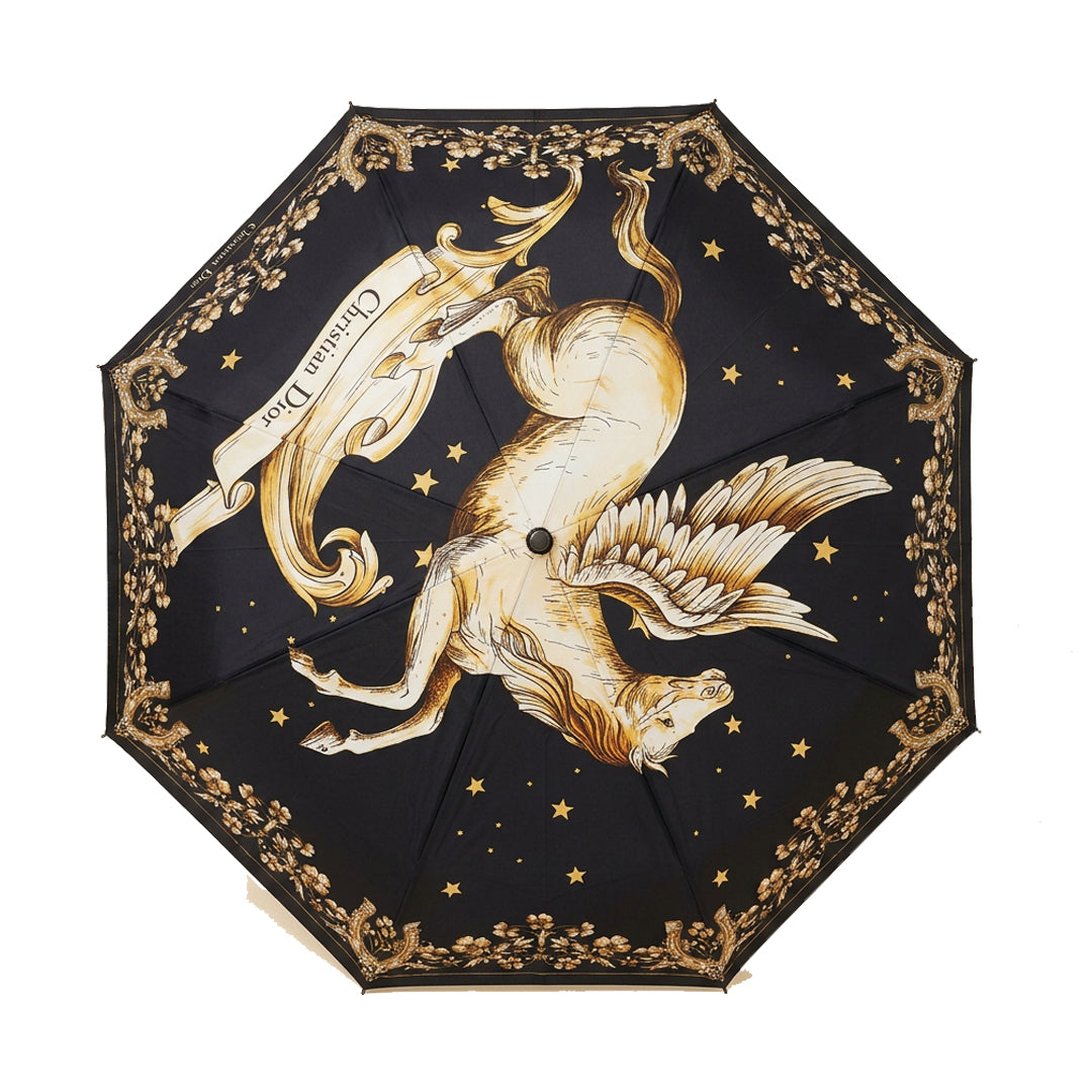 Pegasus Constellation Umbrella