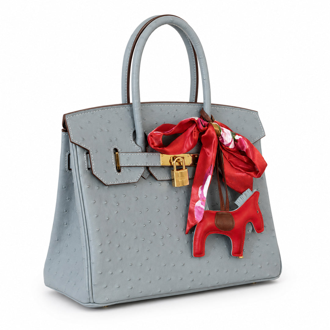 Aurora Luxe Lock Tote Bag