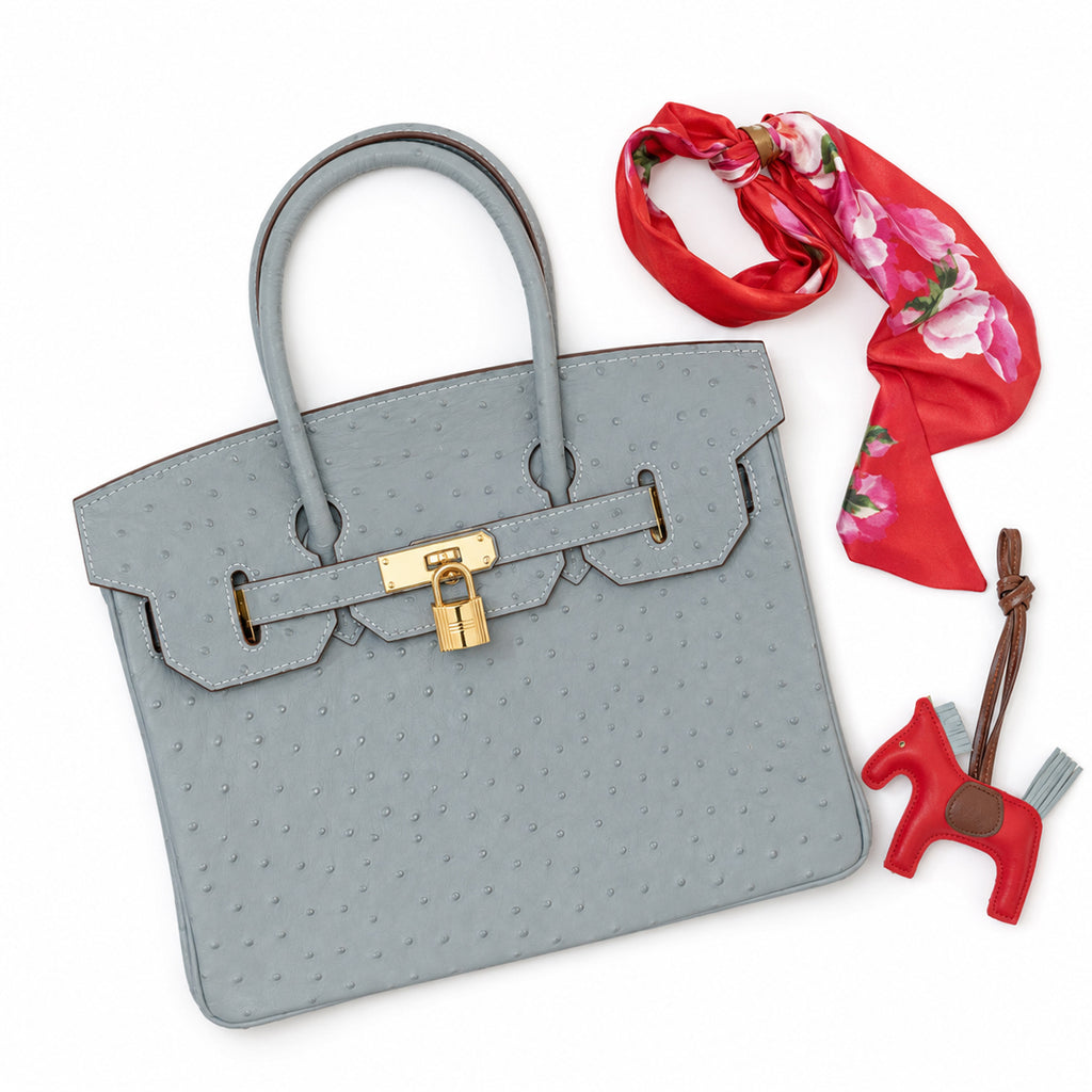 Aurora Luxe Lock Tote Bag