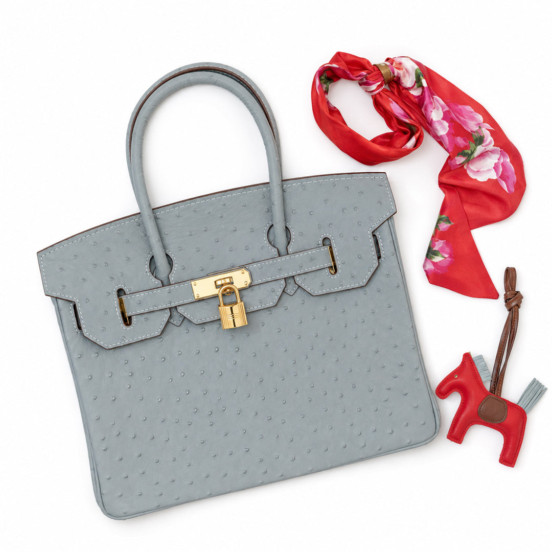 Aurora Luxe Lock Tote Bag