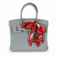 Aurora Luxe Lock Tote Bag